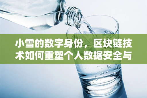 小雪的数字身份，区块链技术如何重塑个人数据安全与隐私？