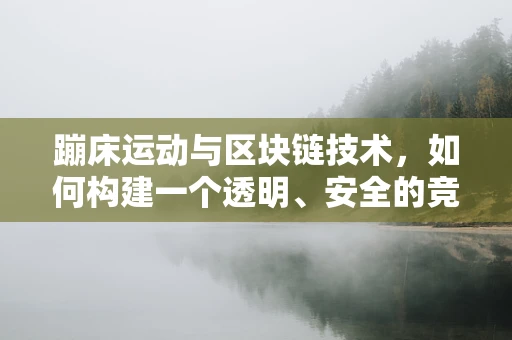 蹦床运动与区块链技术，如何构建一个透明、安全的竞技平台？