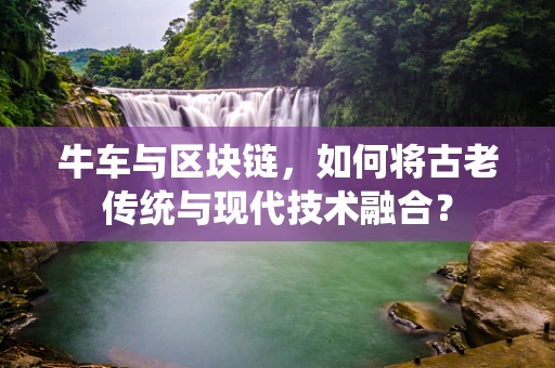 牛车与区块链，如何将古老传统与现代技术融合？