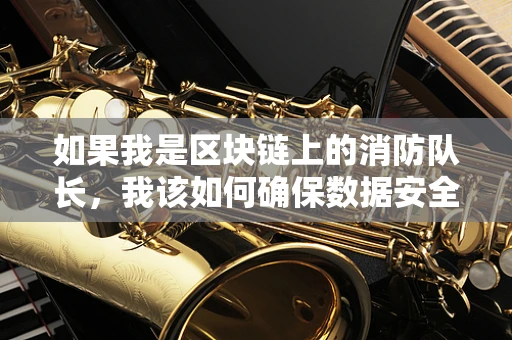 如果我是区块链上的消防队长，我该如何确保数据安全无虞？