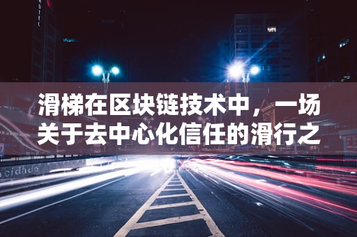 滑梯在区块链技术中，一场关于去中心化信任的滑行之旅？