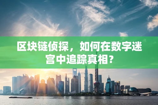 区块链侦探，如何在数字迷宫中追踪真相？