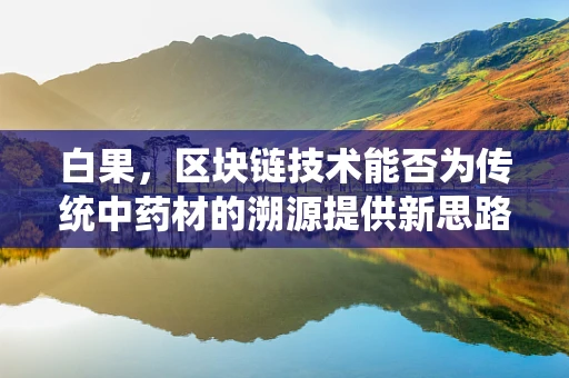 白果，区块链技术能否为传统中药材的溯源提供新思路？