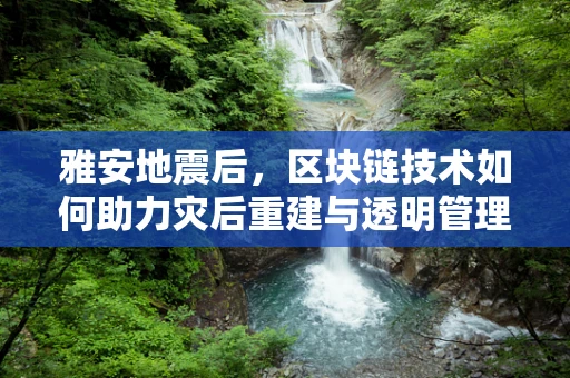 雅安地震后，区块链技术如何助力灾后重建与透明管理？