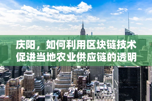 庆阳，如何利用区块链技术促进当地农业供应链的透明与效率？