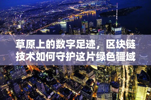 草原上的数字足迹，区块链技术如何守护这片绿色疆域？
