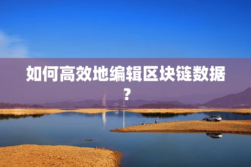 如何高效地编辑区块链数据？
