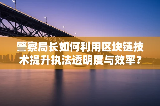 警察局长如何利用区块链技术提升执法透明度与效率？