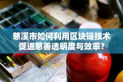 慈溪市如何利用区块链技术促进慈善透明度与效率？