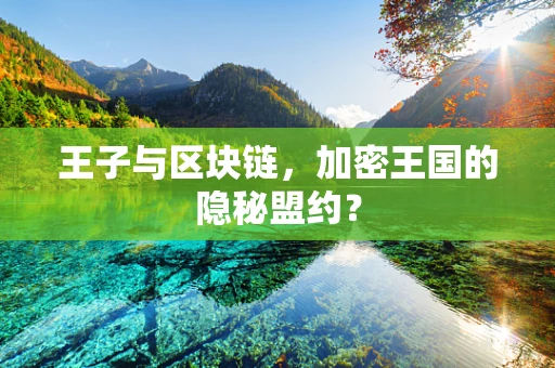 王子与区块链，加密王国的隐秘盟约？