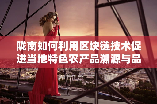 陇南如何利用区块链技术促进当地特色农产品溯源与品牌建设？