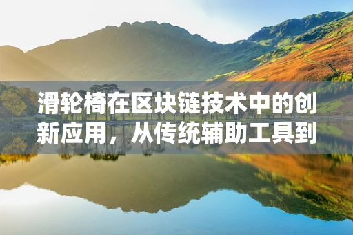滑轮椅在区块链技术中的创新应用，从传统辅助工具到数字身份的桥梁？