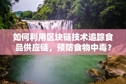 如何利用区块链技术追踪食品供应链，预防食物中毒？
