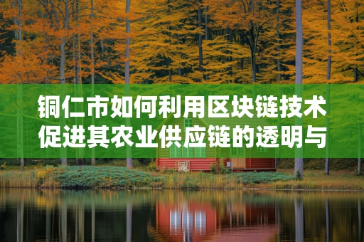 铜仁市如何利用区块链技术促进其农业供应链的透明与效率？