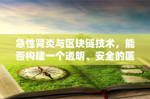 急性肾炎与区块链技术，能否构建一个透明、安全的医疗数据追踪系统？