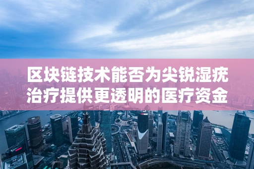 区块链技术能否为尖锐湿疣治疗提供更透明的医疗资金追踪？
