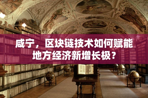 咸宁，区块链技术如何赋能地方经济新增长极？