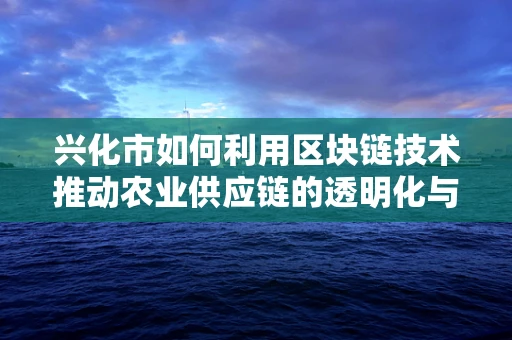 兴化市如何利用区块链技术推动农业供应链的透明化与效率提升？