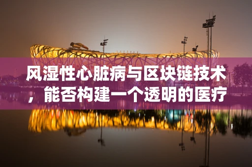 风湿性心脏病与区块链技术，能否构建一个透明的医疗数据追踪系统？