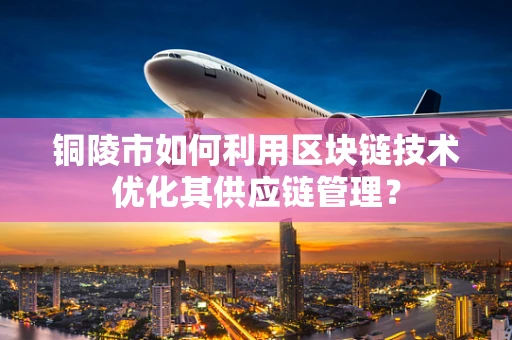 铜陵市如何利用区块链技术优化其供应链管理？