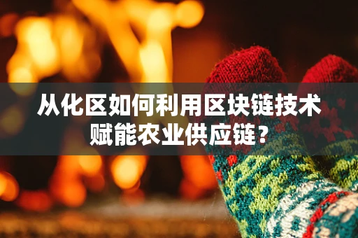 从化区如何利用区块链技术赋能农业供应链？