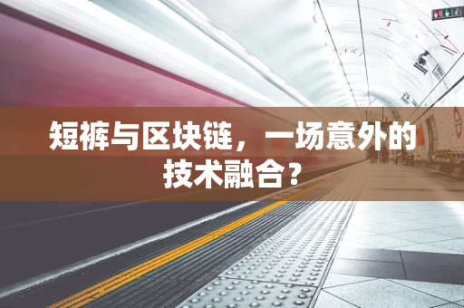 短裤与区块链，一场意外的技术融合？