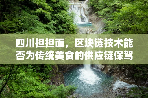 四川担担面，区块链技术能否为传统美食的供应链保驾护航？