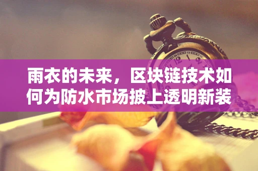 雨衣的未来，区块链技术如何为防水市场披上透明新装？