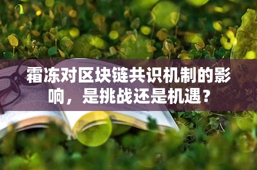 霜冻对区块链共识机制的影响，是挑战还是机遇？