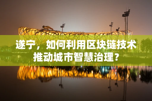 遂宁，如何利用区块链技术推动城市智慧治理？