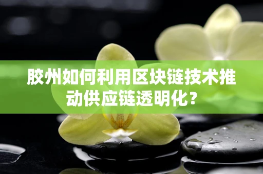 胶州如何利用区块链技术推动供应链透明化？