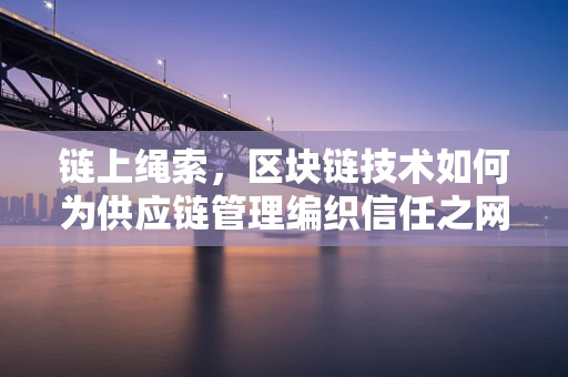链上绳索，区块链技术如何为供应链管理编织信任之网？