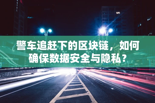 警车追赶下的区块链，如何确保数据安全与隐私？