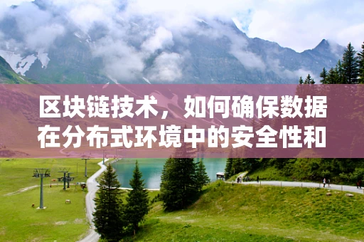 区块链技术，如何确保数据在分布式环境中的安全性和透明性？