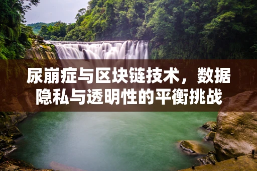 尿崩症与区块链技术，数据隐私与透明性的平衡挑战