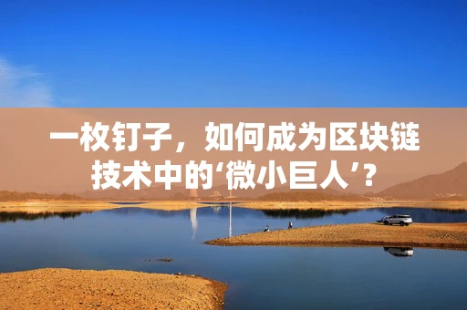 一枚钉子，如何成为区块链技术中的‘微小巨人’？