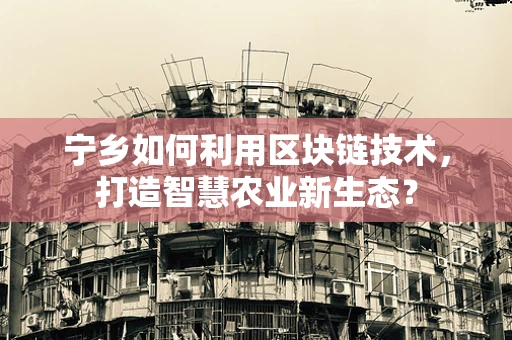 宁乡如何利用区块链技术，打造智慧农业新生态？
