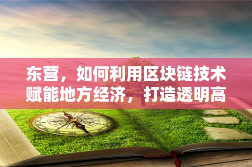 东营，如何利用区块链技术赋能地方经济，打造透明高效的政务环境？