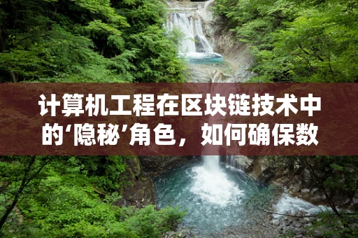 计算机工程在区块链技术中的‘隐秘’角色，如何确保数据安全与高效传输？